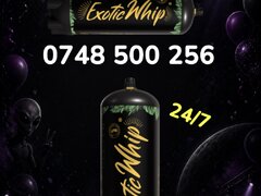 Butelie azot N2O Exotic Whip 670g 2000g, butelie frisca, Constanta